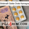 Sildénafil Gelée Orale Kamagra 41